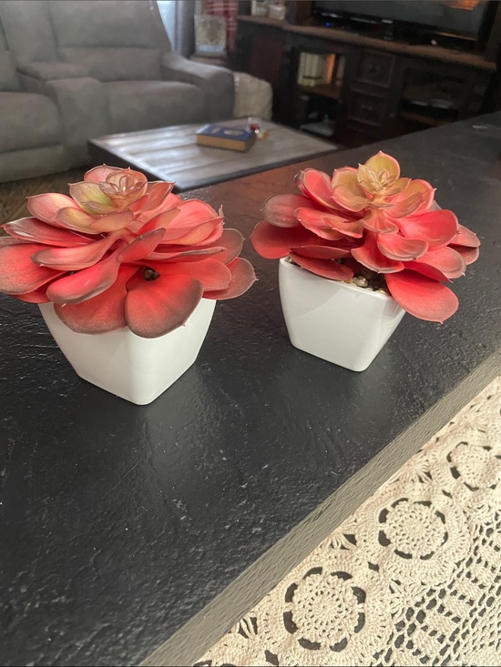 Other - Red Faux Succulent Pair in White Ceramic Pots - Home Accents